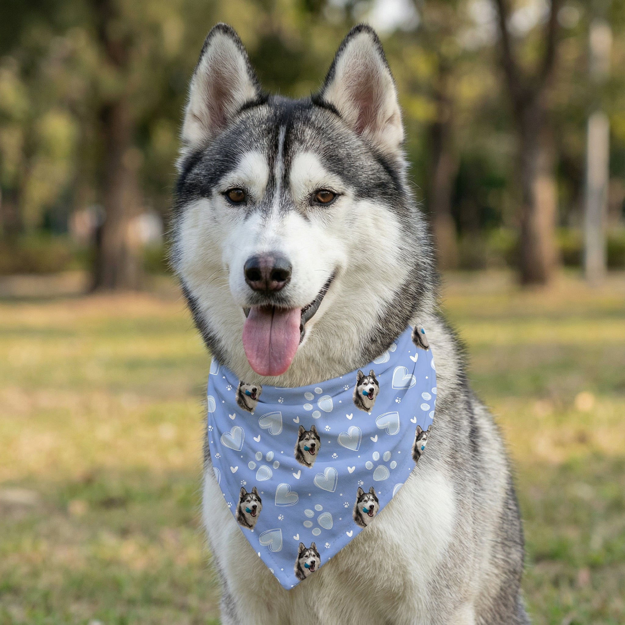 Personalised pet bandana