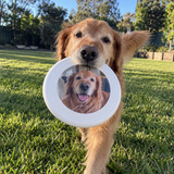 Personalised Pet Photo Frisbee