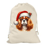 Personalised Dog Santa Sack – Custom Pet & Name